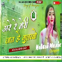 A Re Re Meri Jaan Gulabbo 2022 Holi MalaaiMusicChiraiGaonDomanpur